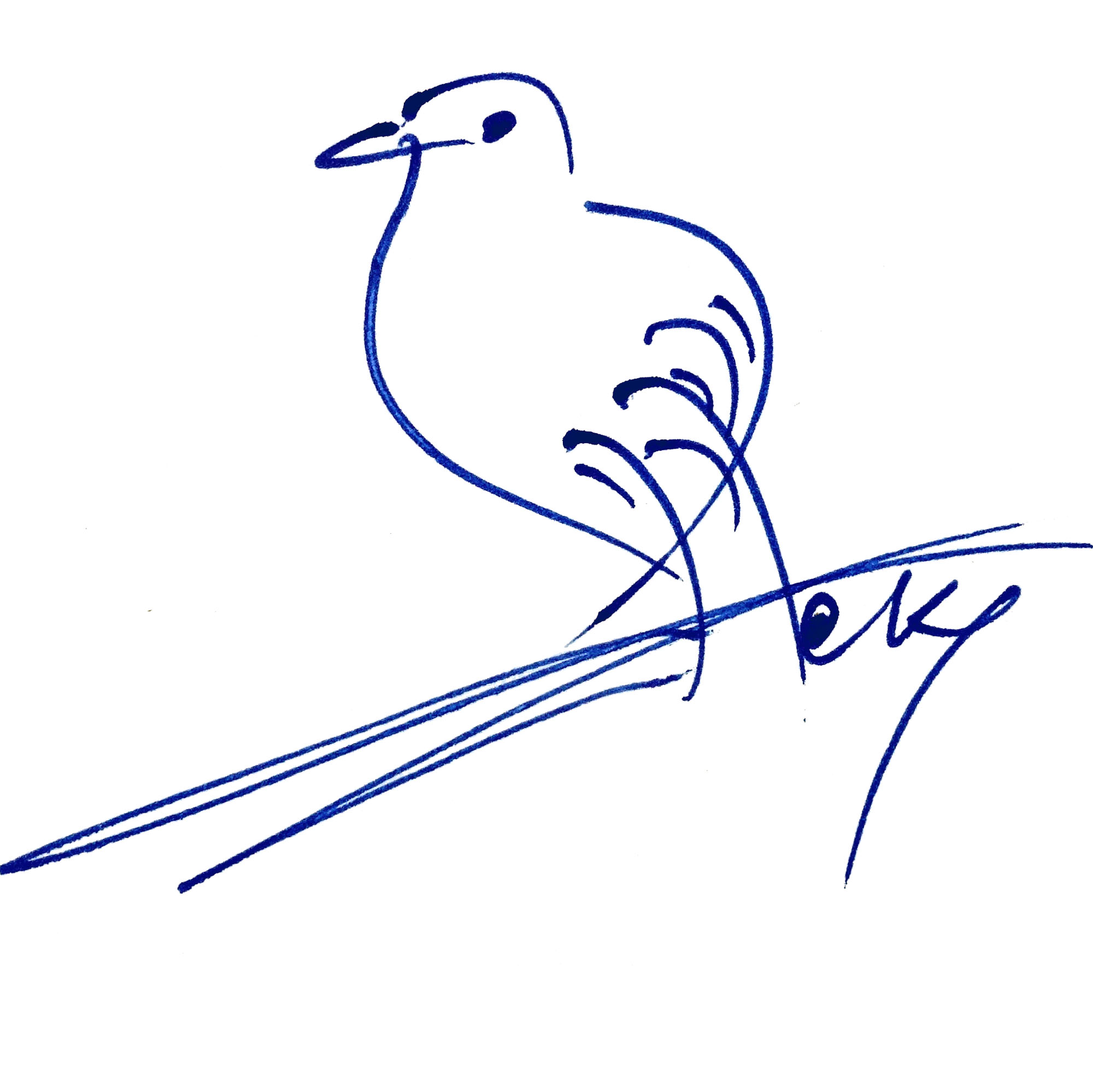 soul-bird