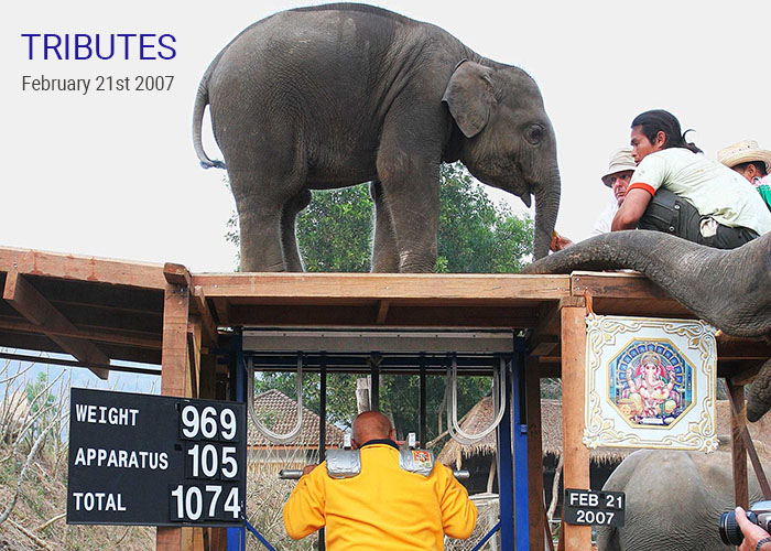 For more details, click On This Day — Tributes