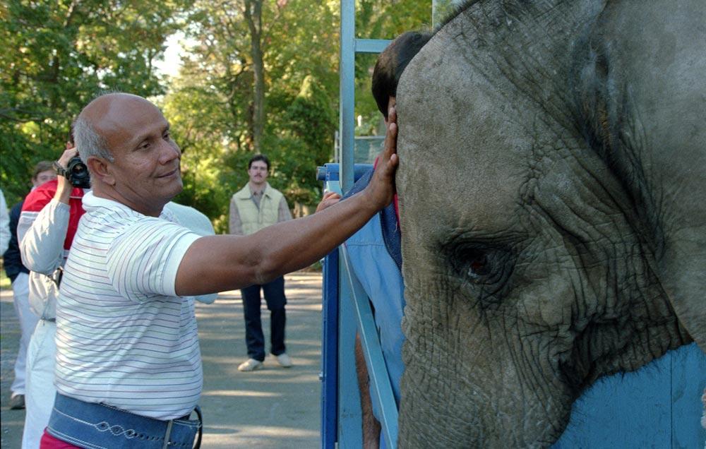 Sri Chinmoy blesses elephant bless-elephant